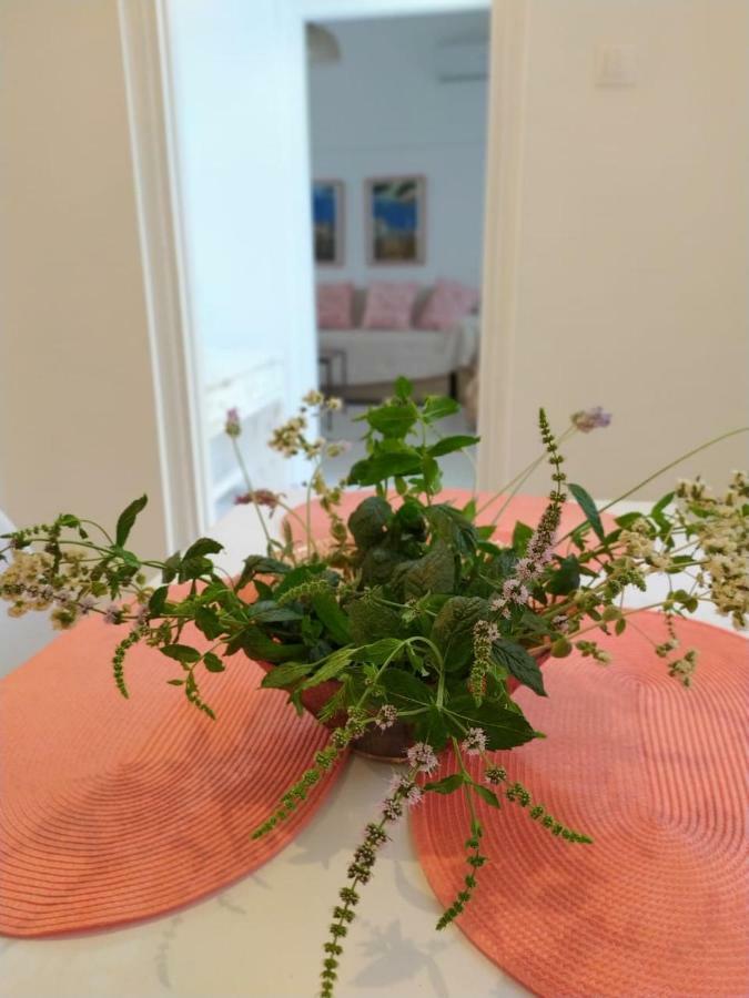 Kalymnos Residence 外观 照片